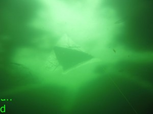 img_6469