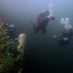 44cb917d-a8da-45b0-a9e0-843f73a01e18