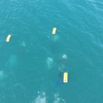 IMG-20250713-WA0051-min